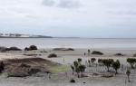 Miller's Landing